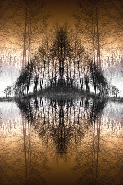 Mirrored Forest Lake by Christina Sillen