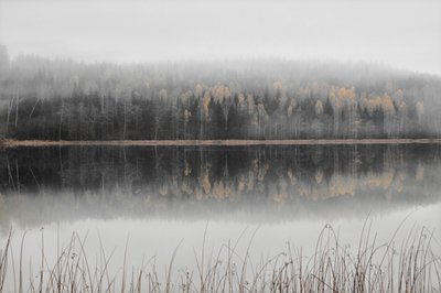 Misty Autumn Lake by Christina Sillen