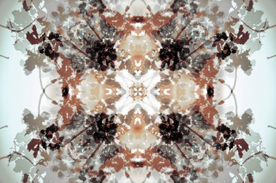 Muted Botanical Kaleidoscope by Christina Sillen