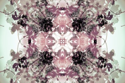 Muted Botanical Symmetry by Christina Sillen