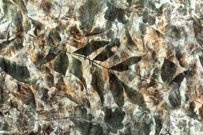 Natural Leaf Pattern by Christina Sillen