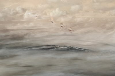 Silver Haze by Christina Sillen