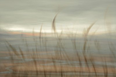Soft Beach Horizon by Christina Sillen