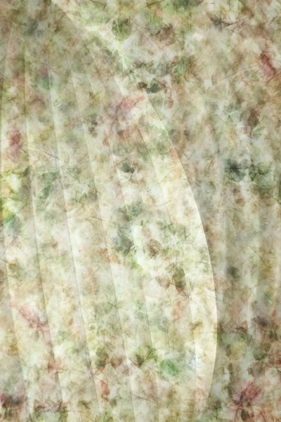 Soft Botanical Curves by Christina Sillen
