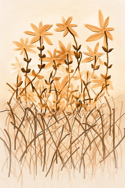 Warm Sepia Botany by Christina Sillen