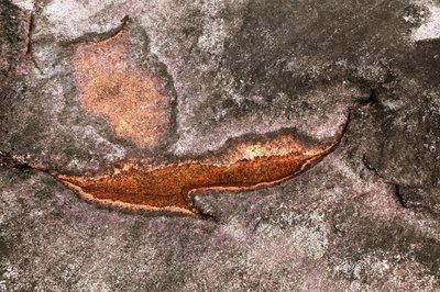Weathered Mineral Surface by Christina Sillen
