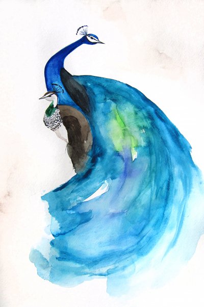Majestic Blue Peacock by Christine Lindstrom