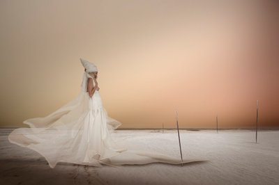 Pregnant Desert Woman by Christine von Diepenbroek