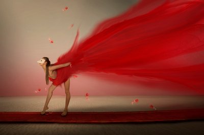 Red Masked Dancer by Christine von Diepenbroek