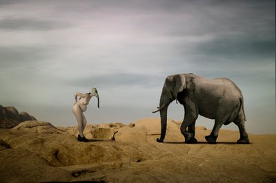 Surreal Desert Encounter by Christine von Diepenbroek
