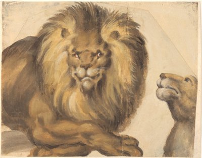 The Forepart of a Male Lion and the Head of a Female Lion by Christoph Amberger