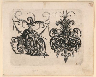 Plate 30, from New Grotesque Book by Christoph Jamnitzer