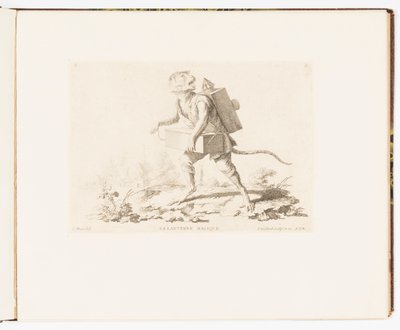 Plate 3, The Magic Lantern, Monkey Antics or Different Actions of Human Life Represented by Monkeys by Christophe Huet