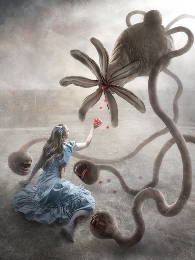 Macabre Wonderland by Christophe Kiciak