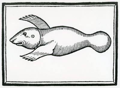 A Fish called 