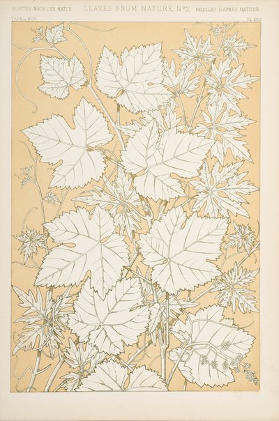 Leaves from Nature, 1868 by Christopher Dresser
