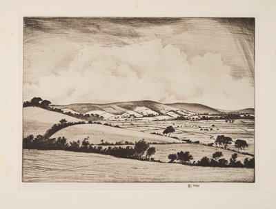 A Valley in the South Downs by Christopher Richard Wynne Nevinson