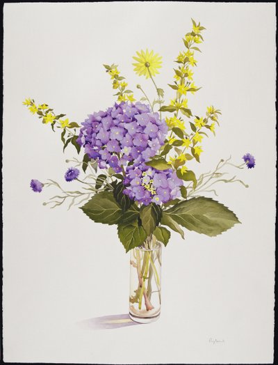 Blue Hydrangea with Yellow Loosestrife by Christopher Ryland