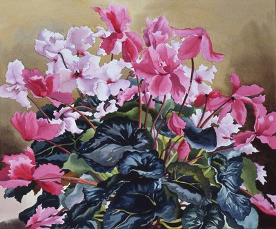 Cyclamen, 2004 by Christopher Ryland