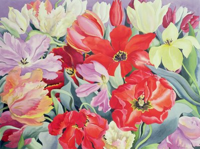 Massed Tulips, 2003 by Christopher Ryland