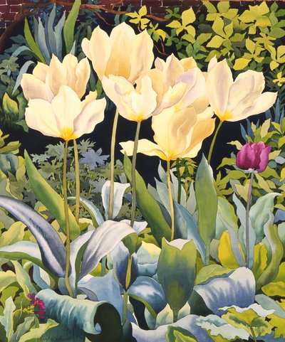 Pale Tulips by Christopher Ryland