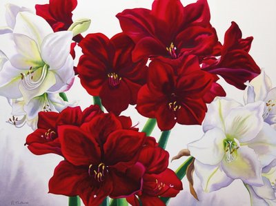 Red and White Amaryllis, 2008 by Christopher Ryland
