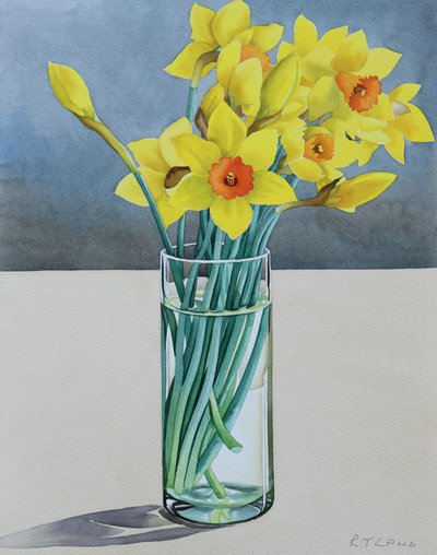 Supermarket Daffodils by Christopher Ryland