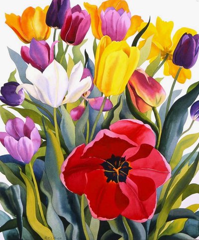 Tulips, 2007 by Christopher Ryland