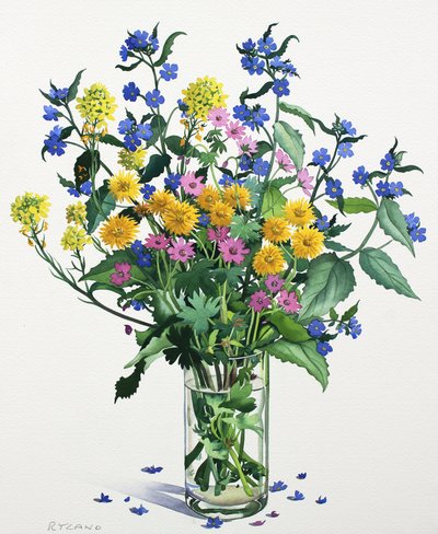 Wild Flowers with Alkanet by Christopher Ryland