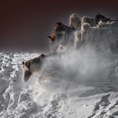 Galloping Snow Horses by Chuanxu Ren