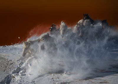 White Horses Blizzard by Chuanxu Ren