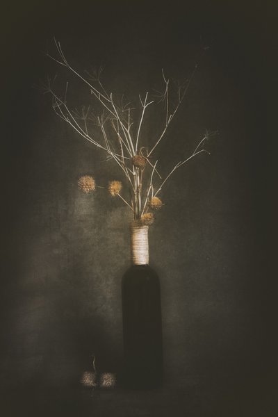 Dark Botanical Still Life by Cicek Kiral
