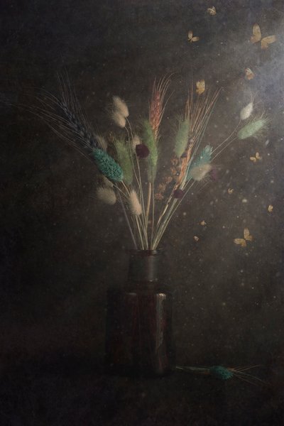 Dark Floral Butterflies by Cicek Kiral