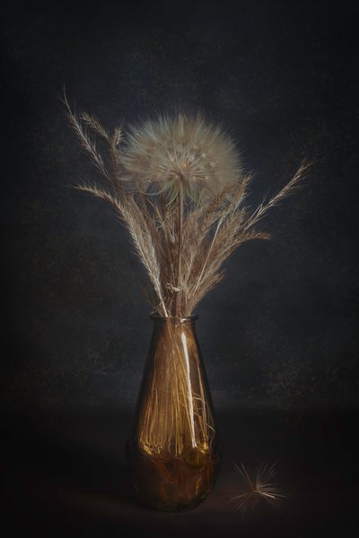 Elegant Dandelion Still Life by Cicek Kiral