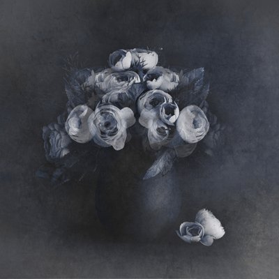 Elegant Grey Blooms by Cicek Kiral