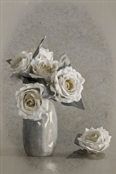 Elegant White Roses by Cicek Kiral