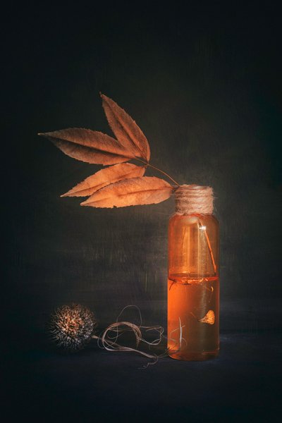 Golden Autumn Elements by Cicek Kiral