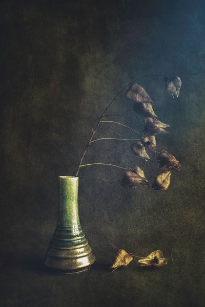 Green Vase Dried Pods by Cicek Kiral