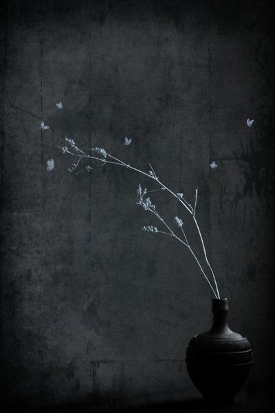 Minimalist Branch With Butterflies by Cicek Kiral