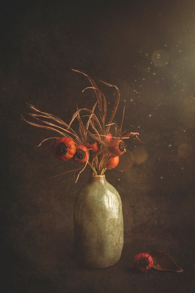 Moody Autumn Berries by Cicek Kiral