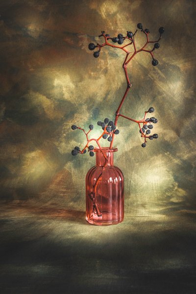 Moody Berries Still Life by Cicek Kiral