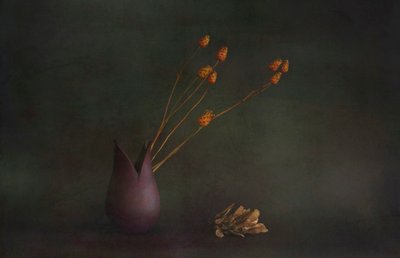 Moody Botanical Vase by Cicek Kiral