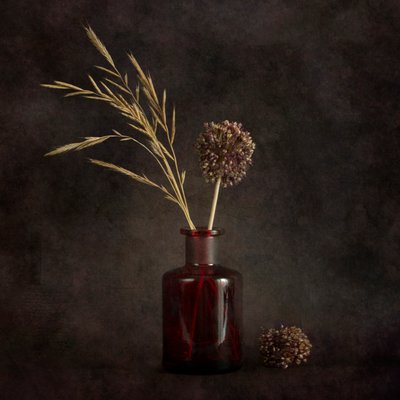 Moody Dried Botanicals by Cicek Kiral