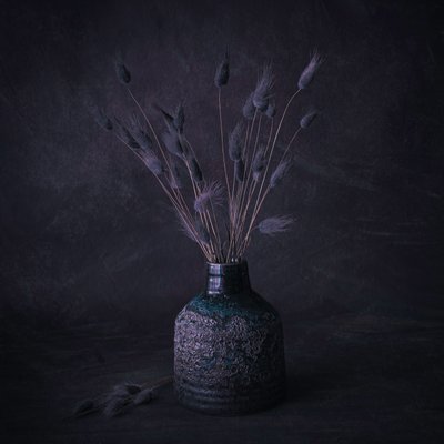 Moody Dried Flowers by Cicek Kiral