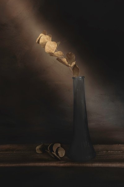 Moody Dried Leaves by Cicek Kiral