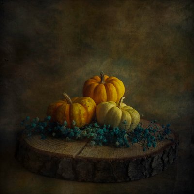 Moody Harvest Pumpkins by Cicek Kiral
