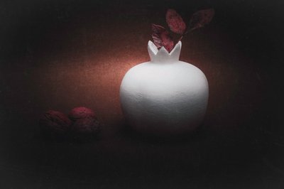 Moody Pomegranate Still Life by Cicek Kiral