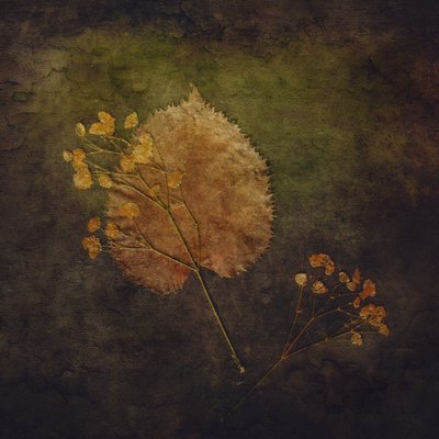 Rustic Autumn Botanicals by Cicek Kiral