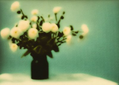 Soft White Blooms by Cicero Spin