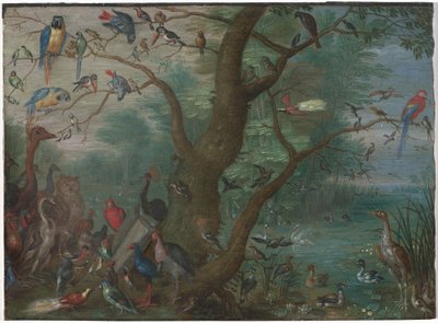 Concert of Birds by Circle of Jan van Kessel the Elder